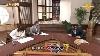 Illustration for article titled Cats Make Serious Japanese News Better